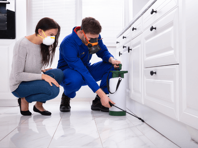 About Tulsa Bait Systems - bait systems experts in Tulsa